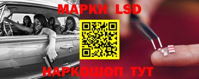 тгк Можга