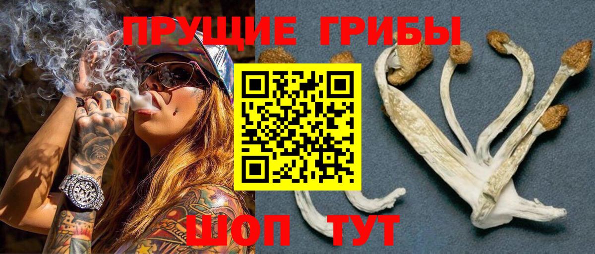 Псилоцибиновые грибы прущие грибы Шебекино